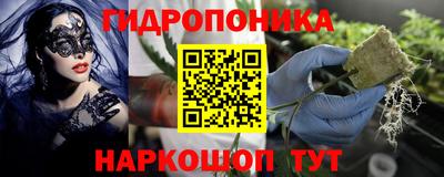 дмт Пугачёв