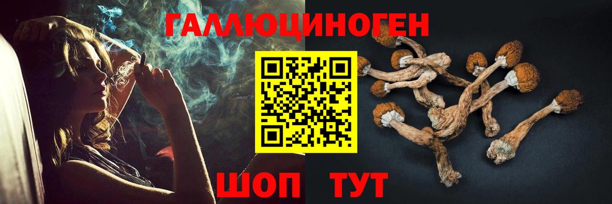 Псилоцибиновые грибы ЛСД Орехово-Зуево