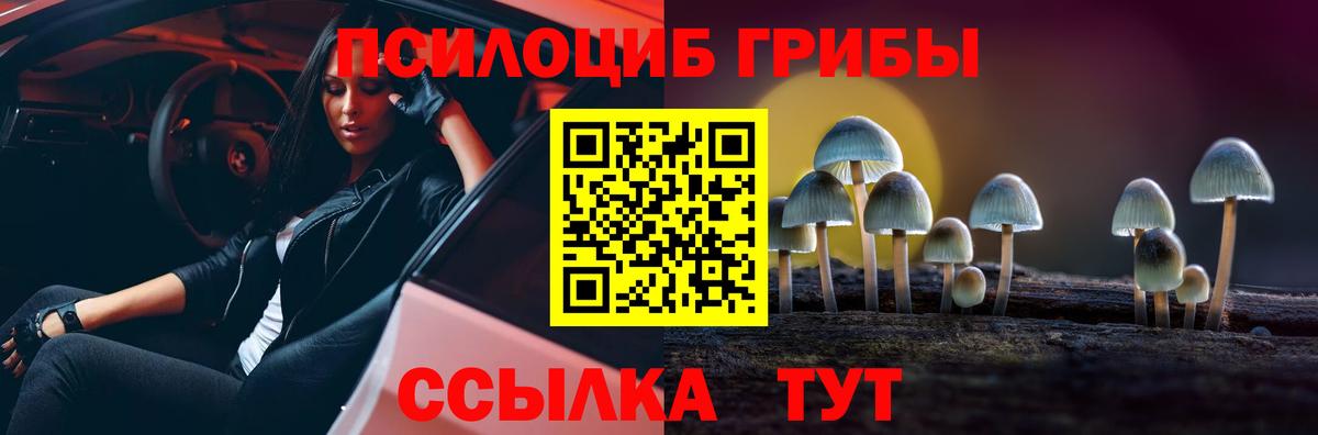 Орехово-Зуево  Псилоцибиновые грибы ЛСД  Вход с VPN 